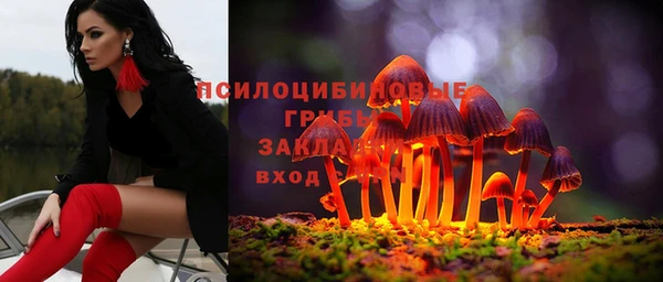 apvp Армянск