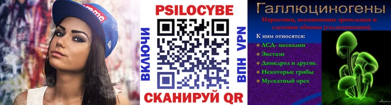 Галлюциногенные грибы Psilocybe  Купить где  Чёрмоз 
